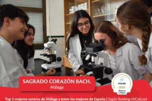 Mejores institutos ranking micole